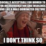 Home Alone: I Don't Think So | IT IS SOCIALLY ACCEPTABLE FOR WOMEN TO SLAP MEN FOR INSUBORDINATION AND INSOLENCE. DOES THAT SOUND LIKE A MALE-DOMINATED CULTURE TO YOU?! I DON'T THINK SO | image tagged in home alone i don't think so | made w/ Imgflip meme maker