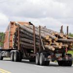 Log Truck Nope Final Destination