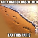 Footprints | YOU ARE A CARBON BASED LIFEFORM; TAX THIS PARIS | image tagged in footprints | made w/ Imgflip meme maker