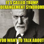 Sigmund Freud At Your Service | IT'S CALLED TRUMP DERANGEMENT SYNDROME; DO YOU WANT TO TALK ABOUT IT? | image tagged in politics,sigmund freud,trump derangement syndrome,president trump | made w/ Imgflip meme maker
