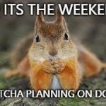 sara squirrel  | SO ITS THE WEEKEND; WHATCHA PLANNING ON DOING? | image tagged in sara squirrel | made w/ Imgflip meme maker