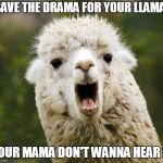 mama llama | SAVE THE DRAMA FOR YOUR LLAMA! YOUR MAMA DON'T WANNA HEAR IT | image tagged in mama llama | made w/ Imgflip meme maker