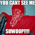 bloods be like | YOU CANT SEE ME; SUWOOP!!!! | image tagged in bloods be like | made w/ Imgflip meme maker