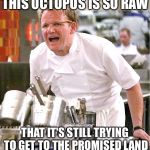 For my fellow Octo Expansion players. And for the record there is a food made with octopus. | THIS OCTOPUS IS SO RAW; THAT IT'S STILL TRYING TO GET TO THE PROMISED LAND | image tagged in splatoon,gordon ramsay it's raw | made w/ Imgflip meme maker