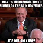 Chuck Schumer Creepy | ALL I WANT IS FOR IMMIGRATION TO BE A BURDEN ON THE US IN NOVEMBER. IT'S OUR ONLY HOPE | image tagged in chuck schumer creepy | made w/ Imgflip meme maker