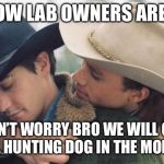 Broke back mountain | YELLOW LAB OWNERS ARE LIKE; DON’T WORRY BRO WE WILL GET A REAL HUNTING DOG IN THE MORNING. | image tagged in broke back mountain | made w/ Imgflip meme maker