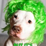 If it was St. Patrick's Day he'd have a Leprechaun hat as well... :)  | BUT IT'S NOT ST. PATRICK'S DAY... | image tagged in green wig dog,memes,st patrick's day | made w/ Imgflip meme maker