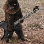 Death Metal Cat meme