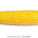 Corn on the cob  meme