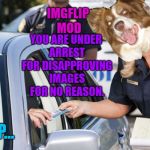 No more games, imgflip mods. You have to approve my images when I say "approve them". | YOU ARE UNDER ARREST FOR DISAPPROVING IMAGES FOR NO REASON. IMGFLIP MOD; CRAP... | image tagged in female officer ticket,imgflip mods,chili the border collie,dogs,border collie | made w/ Imgflip meme maker