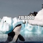 Random third submission, ran out of ideas. | YOLOOOO | image tagged in killer whale and seal,third submission,yolo | made w/ Imgflip meme maker