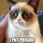 Smiling grumpy cat | I PUT POISON IN HIS BEER | image tagged in smiling grumpy cat | made w/ Imgflip meme maker