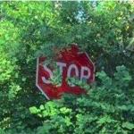 Stop Sign Behind Bushes