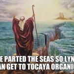 Moses | I'VE PARTED THE SEAS SO LYNDZ CAN GET TO TOCAYA ORGANICA | image tagged in moses | made w/ Imgflip meme maker