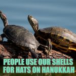 turtles  | PEOPLE USE OUR SHELLS FOR HATS ON HANUKKAH | image tagged in turtles,funny memes | made w/ Imgflip meme maker
