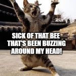 IT'S ON NOW, BISH! | WHEN I'M FINALLY; SICK OF THAT BEE THAT'S BEEN BUZZING AROUND MY HEAD! | image tagged in kung fu kitten | made w/ Imgflip meme maker