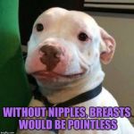 Awkward Dog | WITHOUT NIPPLES, BREASTS WOULD BE POINTLESS | image tagged in awkward dog,memes | made w/ Imgflip meme maker