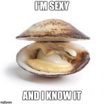 clam | I'M SEXY; AND I KNOW IT | image tagged in clam | made w/ Imgflip meme maker