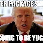 Donald trump huge | ELFSTER PACKAGE SHIPPED; GOING TO BE YUGE | image tagged in donald trump huge | made w/ Imgflip meme maker