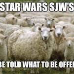 Sheep | STAR WARS SJW’S; WAITING TO BE TOLD WHAT TO BE OFFENDED ABOUT! | image tagged in sheep | made w/ Imgflip meme maker