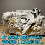 I'm not going to argue with him... :) | IT WAS LIKE THAT WHEN I CAME IN... | image tagged in dog destroys couch,memes,pets,animals | made w/ Imgflip meme maker
