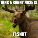 Bad Pun Moose | YOU THINK A RUNNY NOSE IS FUN? IT SNOT | image tagged in bad pun moose,snot | made w/ Imgflip meme maker