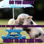 Pig Ice Cream | DO YOU REALLY; IF NOT, THEN HELP PIGS! DON'T BE A PIG MURDERER! WANT TO EAT THIS PIG | image tagged in pig ice cream | made w/ Imgflip meme maker