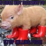 Pig In Boots | THIS DOES NOT DESERVE TO DIE. STOP KILLING PIGS! | image tagged in pig in boots | made w/ Imgflip meme maker
