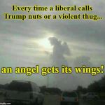 Call Trump Nuts or Thug... | Every time a liberal calls Trump nuts or a violent thug... an angel gets its wings! | image tagged in cloud angel,trump,angel gets  wings | made w/ Imgflip meme maker