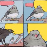 Annoyed Bird meme