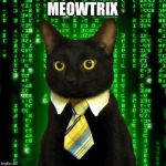 Business Cat Matrix | MEOWTRIX | image tagged in business cat matrix | made w/ Imgflip meme maker