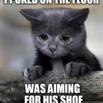 Confession Cat | I PUKED ON THE FLOOR; WAS AIMING FOR HIS SHOE | image tagged in confession cat | made w/ Imgflip meme maker