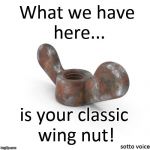 Wingnut | What we have here... is your classic wing nut! sotto voice | image tagged in wingnut | made w/ Imgflip meme maker