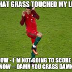 That Grass Touch My Leg!! | THAT GRASS TOUCHED MY LEG... NOW - I`M NOT GOING TO SCORE A GOAL NOW -- DAMN YOU GRASS DAMN YOU!! | image tagged in cristiano ronaldo scared | made w/ Imgflip meme maker