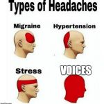 Types of Headaches meme | VOICES | image tagged in types of headaches meme | made w/ Imgflip meme maker