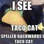 Interesting  | I SEE | image tagged in taco cat - tac ocat,ok meme | made w/ Imgflip meme maker