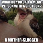 Bad Joke Kookaburra | WHAT DO YOU CALL A MEAN PERSON WITH A SHOTGUN? A MOTHER-SLUGGER | image tagged in bad joke kookaburra,shotgun,slugger,memes | made w/ Imgflip meme maker