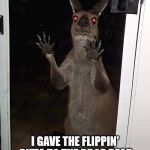 Kangaroo | LET ME IN... I GAVE THE FLIPPIN' PIZZA TO THE DROP BEAR AND NOW ITS GUNNIN FOR ME! | image tagged in kangaroo | made w/ Imgflip meme maker