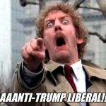 Screaming Donald Sutherland | AAAANTI-TRUMP LIBERAL!!!! | image tagged in screaming donald sutherland | made w/ Imgflip meme maker