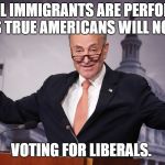 Chuck Schumer | ILLEGAL IMMIGRANTS ARE PERFORMING TASKS TRUE AMERICANS WILL NOT DO... VOTING FOR LIBERALS. | image tagged in chuck schumer | made w/ Imgflip meme maker