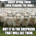 sheep | SHEEP SPEND THEIR LIVES FEARING THE WOLF, BUT IT IS THE SHEPHERD THAT WILL EAT THEM. | image tagged in sheep | made w/ Imgflip meme maker