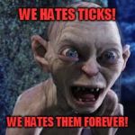 Tick hate | WE HATES TICKS! WE HATES THEM FOREVER! | image tagged in gollum,memes,hate | made w/ Imgflip meme maker