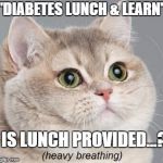 fat cat | "DIABETES LUNCH & LEARN"; IS LUNCH PROVIDED...? | image tagged in fat cat | made w/ Imgflip meme maker