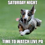 Excited dog | SATURDAY NIGHT; TIME TO WATCH LIVE PD | image tagged in excited dog | made w/ Imgflip meme maker