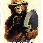 Smokey The Bear | ONLY YOU CAN PREVENT; THE ELECTION OF DUMB LEFT-WING POLITICIANS | image tagged in smokey the bear | made w/ Imgflip meme maker