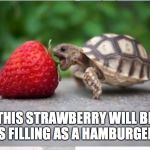 Healthy baby turtle | THIS STRAWBERRY WILL BE AS FILLING AS A HAMBURGER! | image tagged in healthy baby turtle | made w/ Imgflip meme maker