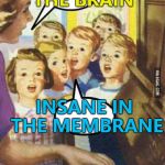 Tomorrow kids, we'll have some NWA... :) | INSANE IN THE BRAIN; INSANE IN THE MEMBRANE | image tagged in teache kid singing,memes,cypress hill,music,insane in the brain | made w/ Imgflip meme maker