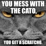 Angry Cat | YOU MESS WITH THE CATO, YOU GET A SCRATCHO. | image tagged in angry cat | made w/ Imgflip meme maker