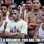 MS13 Family Pic | IF YOU SEE A DREAMER, YOU ARE THE PROBLEM. | image tagged in ms13 family pic | made w/ Imgflip meme maker