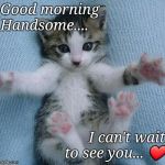 Goodmorning kitten | Good morning Handsome.... I can't wait to see you... ❤ | image tagged in goodmorning kitten | made w/ Imgflip meme maker
